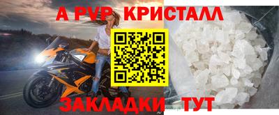 шишки Заволжье