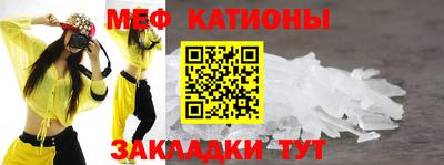 шишки Заволжье