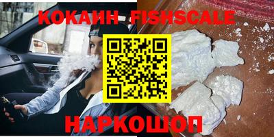 шишки Заволжье
