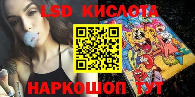шишки Заволжье