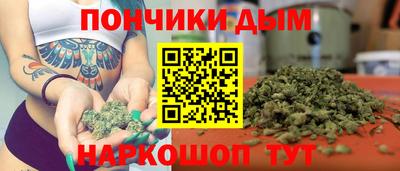 шишки Заволжье