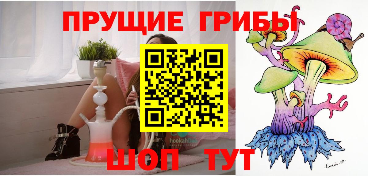 Галлюциногенные грибы прущие грибы Камень-на-Оби